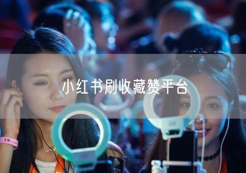 小红书刷收藏赞平台