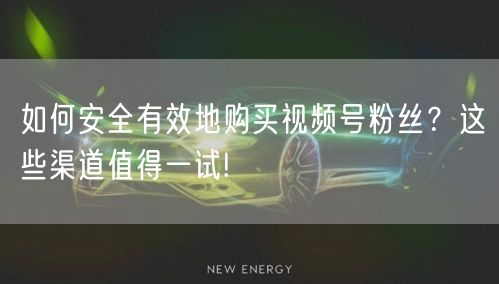 如何安全有效地购买视频号粉丝？这些渠道值得一试!