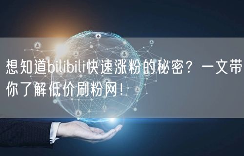 想知道bilibili快速涨粉的秘密？一文带你了解低价刷粉网！