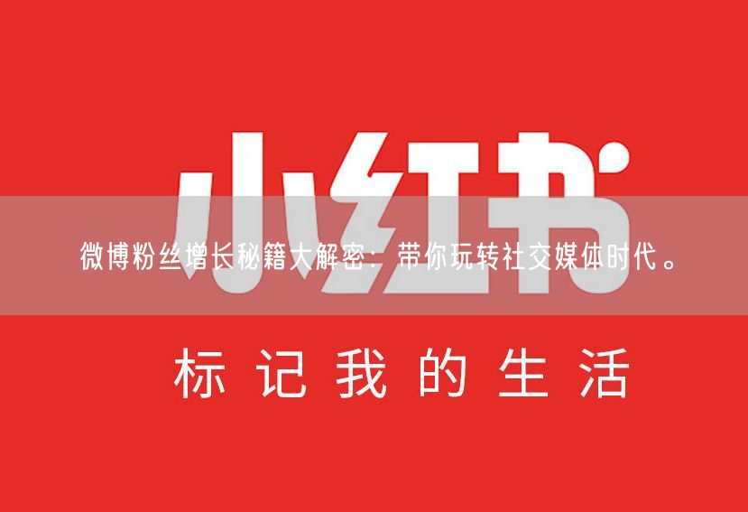 微博粉丝增长秘籍大解密：带你玩转社交媒体时代。