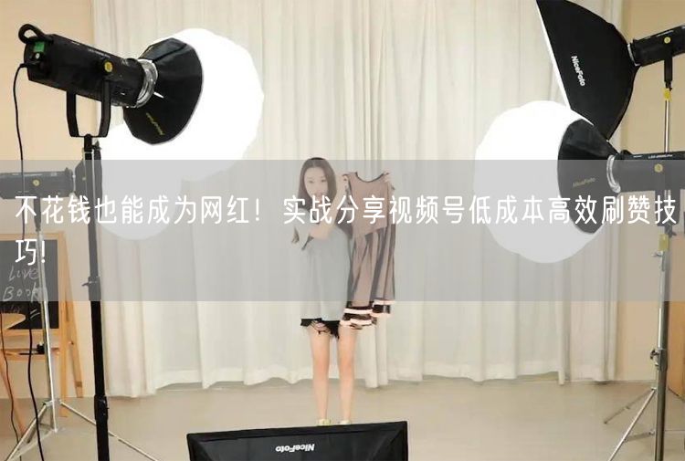 不花钱也能成为网红！实战分享视频号低成本高效刷赞技巧!